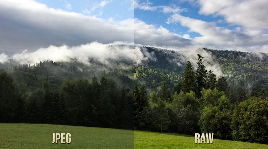 raw-vs-jpg-1